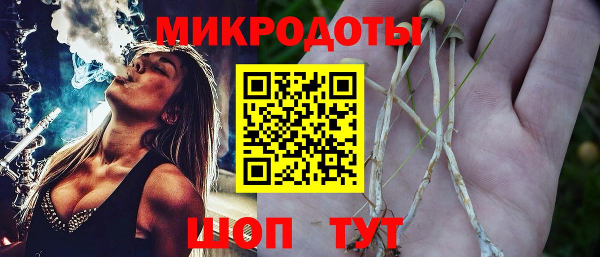 Псилоцибиновые грибы Psilocybe  Псилоцибиновые грибы Cubensis  где купить наркоту  Вход с VPN  Знаменск 