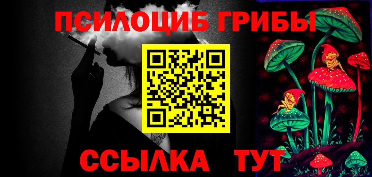 Галлюциногенные грибы Psilocybine cubensis Знаменск